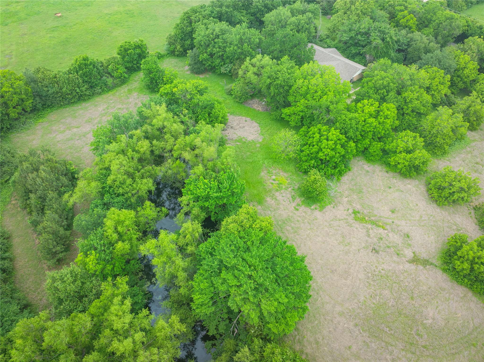 345 Estelle Lane Lucas TX 75002