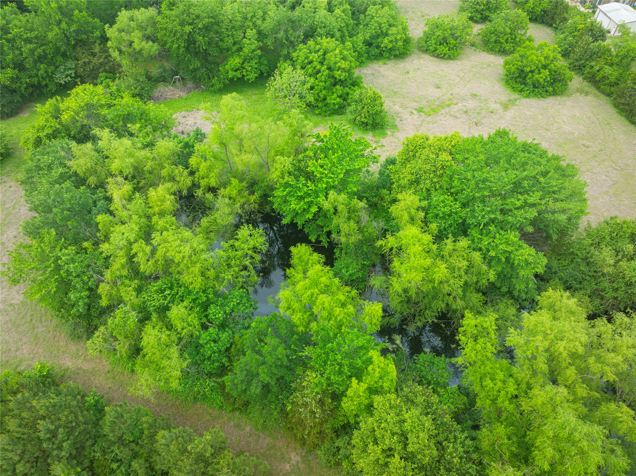 345 Estelle Lane Lucas TX 75002