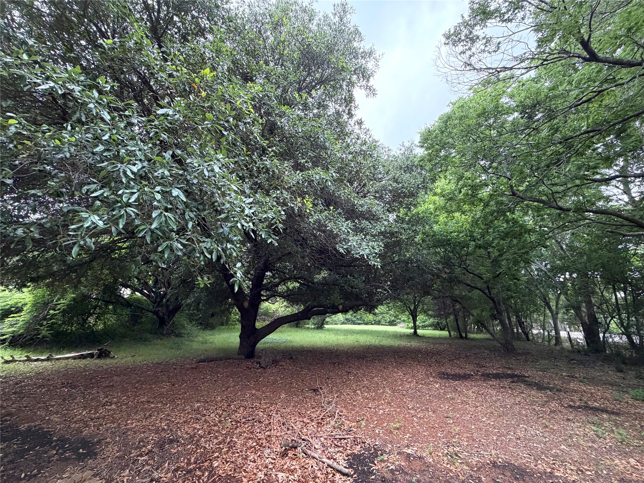345 Estelle Lane Lucas TX 75002