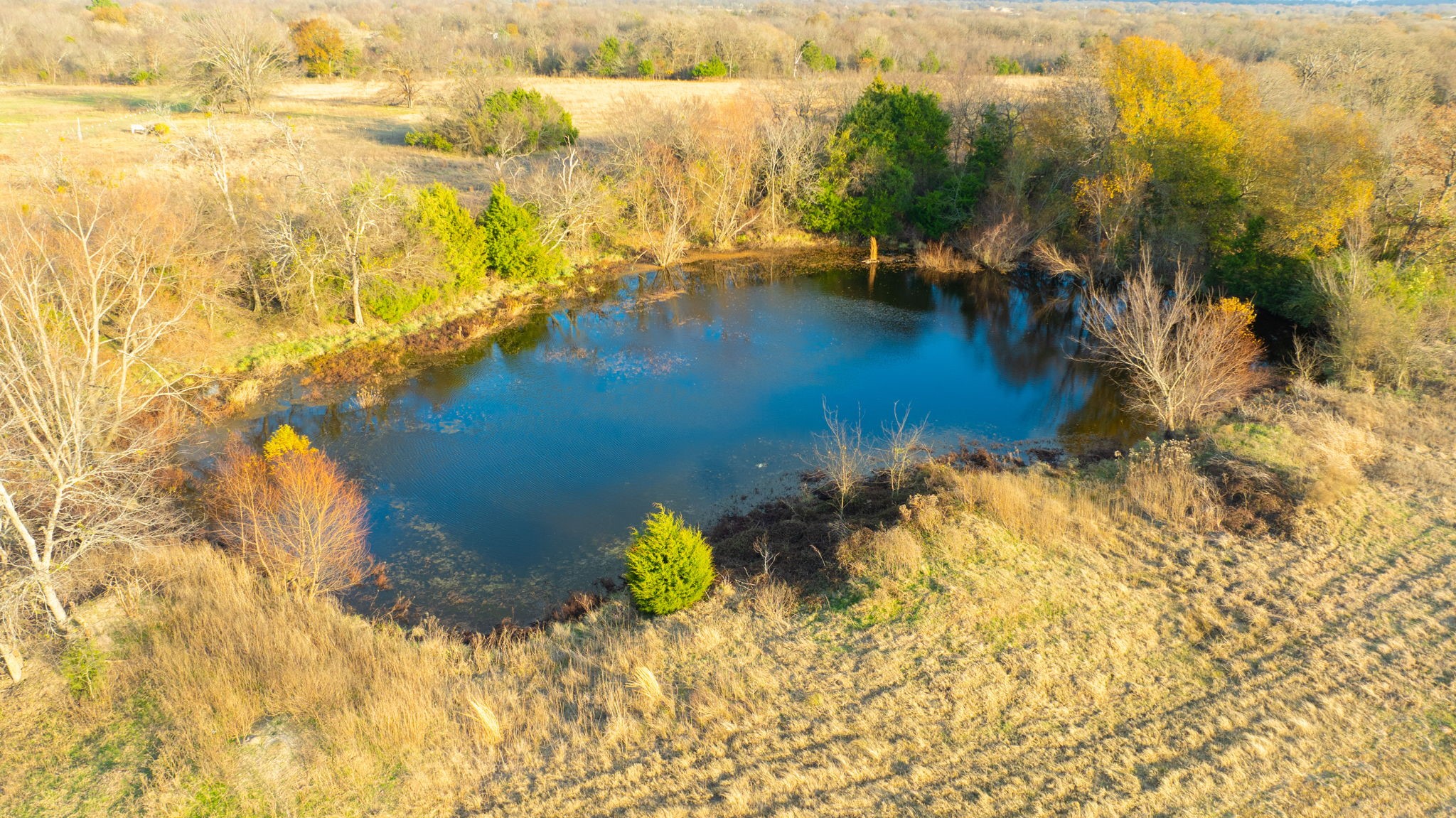 1495 Vz Cr 3908 Wills Point TX 75169