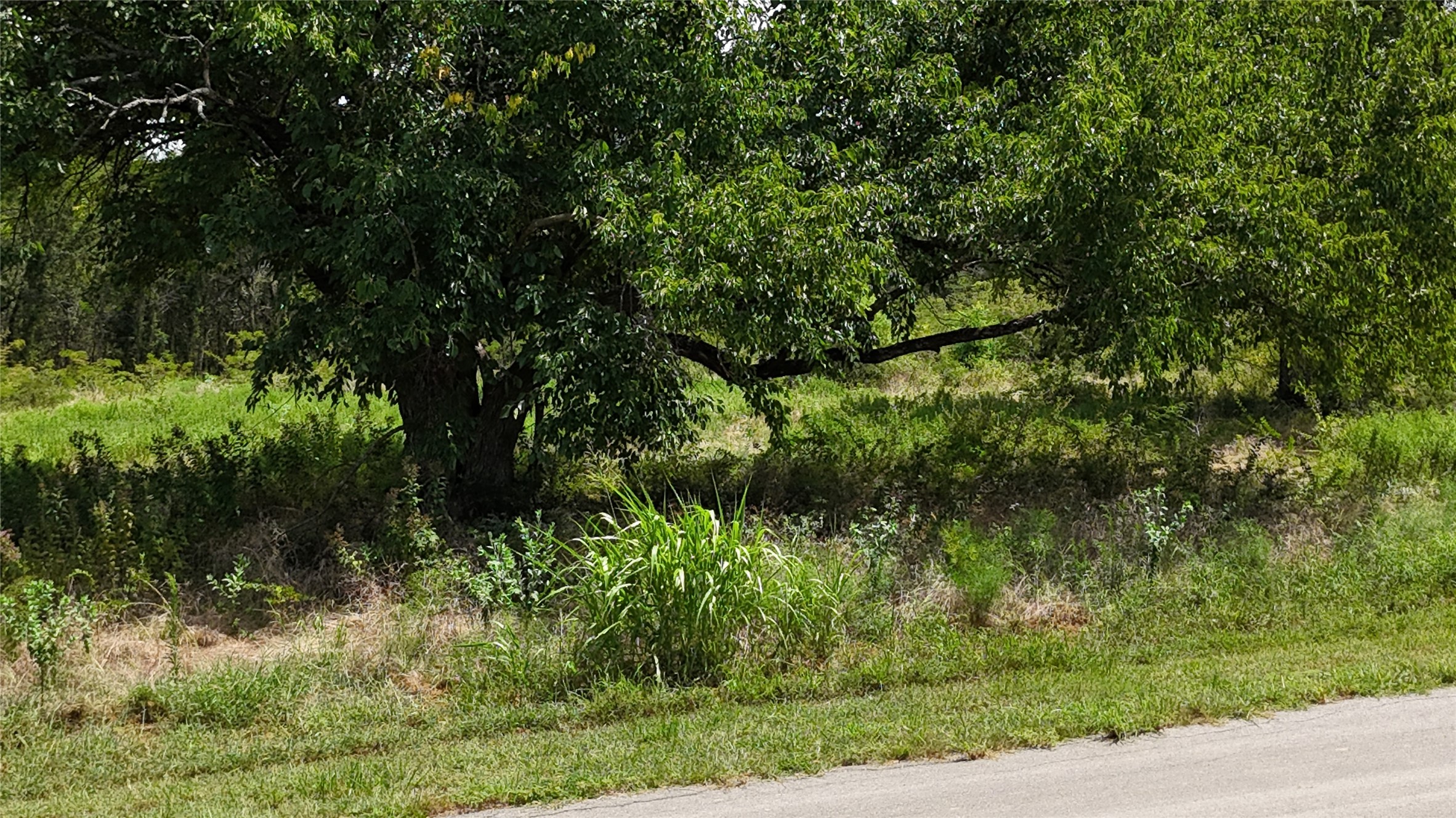 Lot 27 Sunrise Trail Corsicana TX 75110