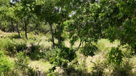 Lot 27 Sunrise Trail Corsicana TX 75110