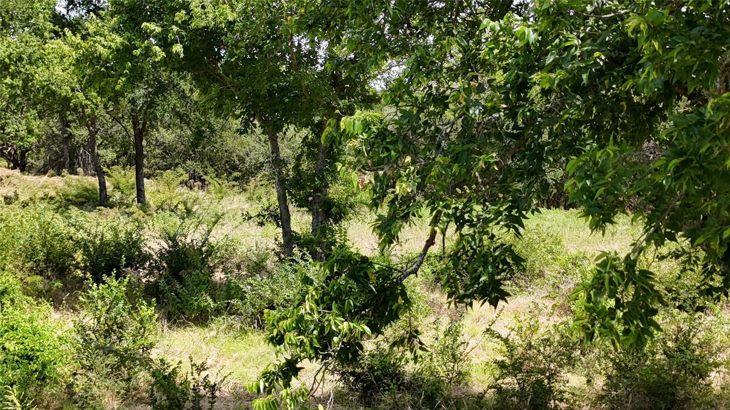 Lot 27 Sunrise Trail Corsicana TX 75110