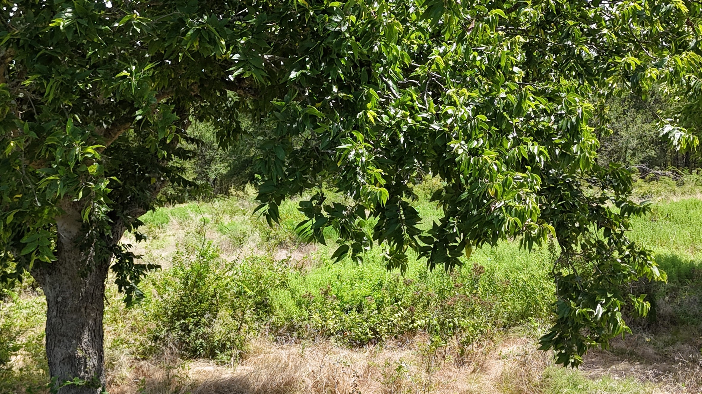 Lot 27 Sunrise Trail Corsicana TX 75110