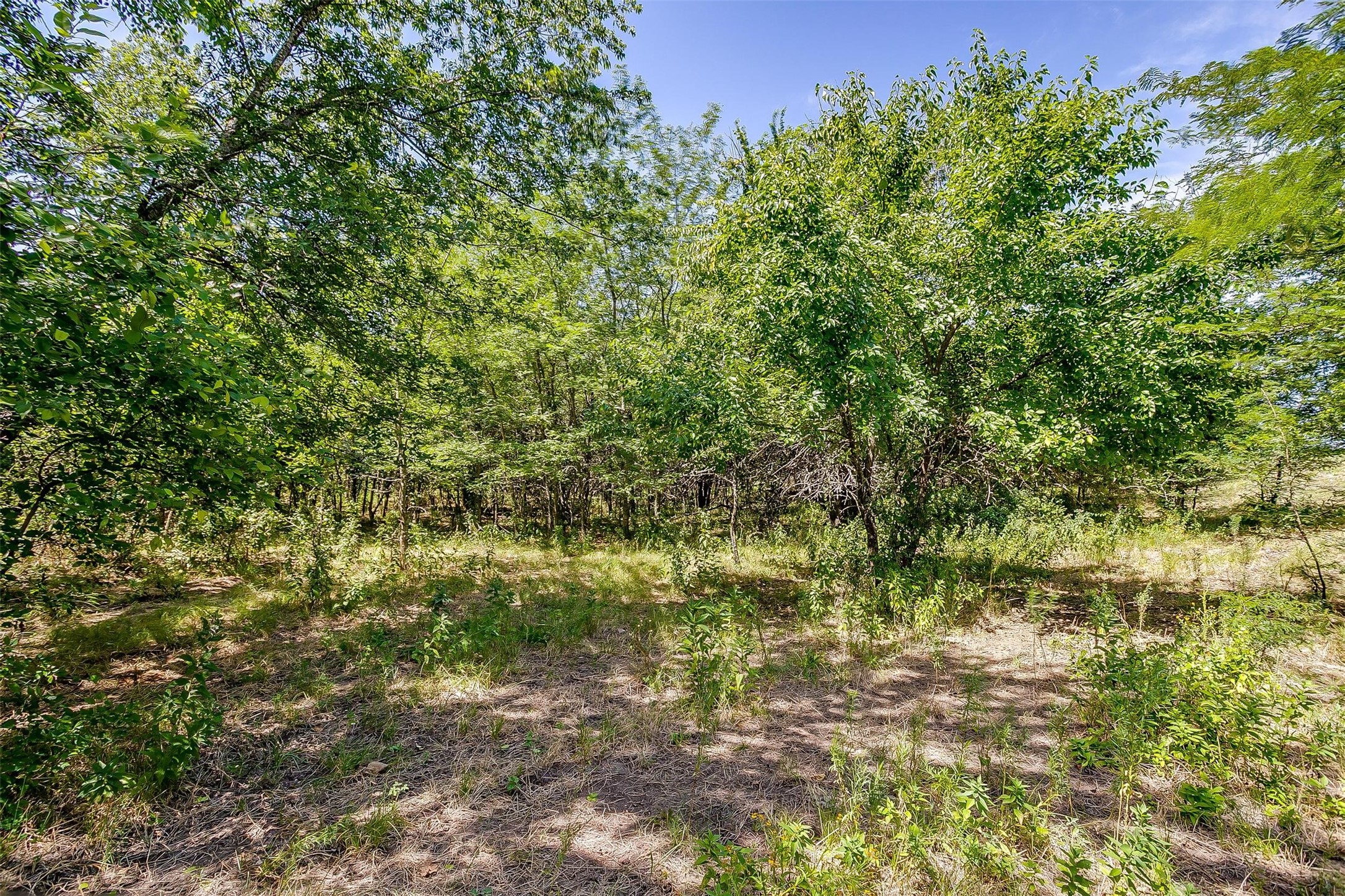 9715 Fm 2450 Sanger TX 76266