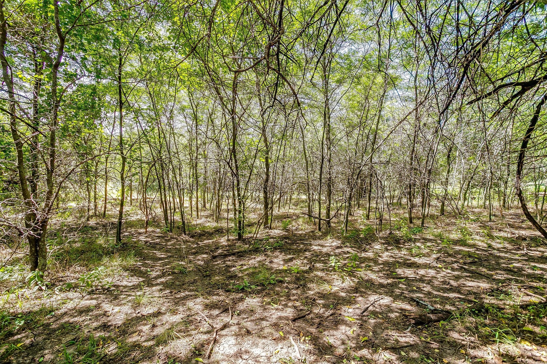 9715 Fm 2450 Sanger TX 76266