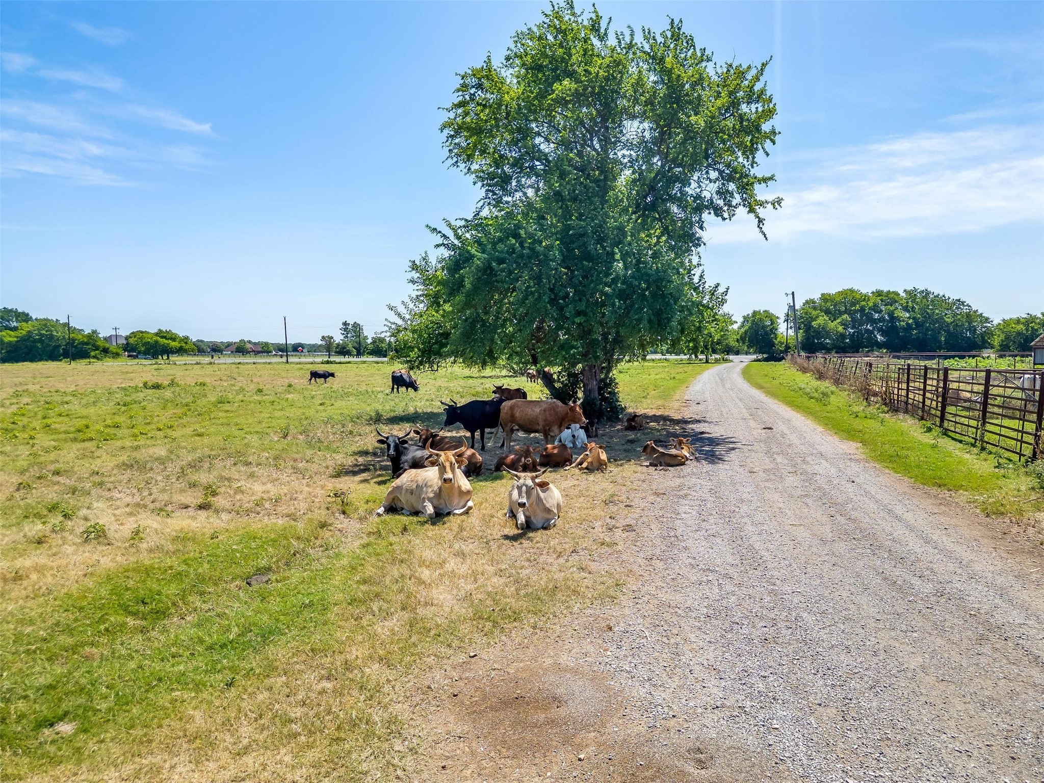 9715 Fm 2450 Sanger TX 76266