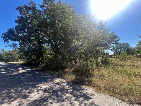 0 Bluebonnet Drive Gun Barrel City TX 75156