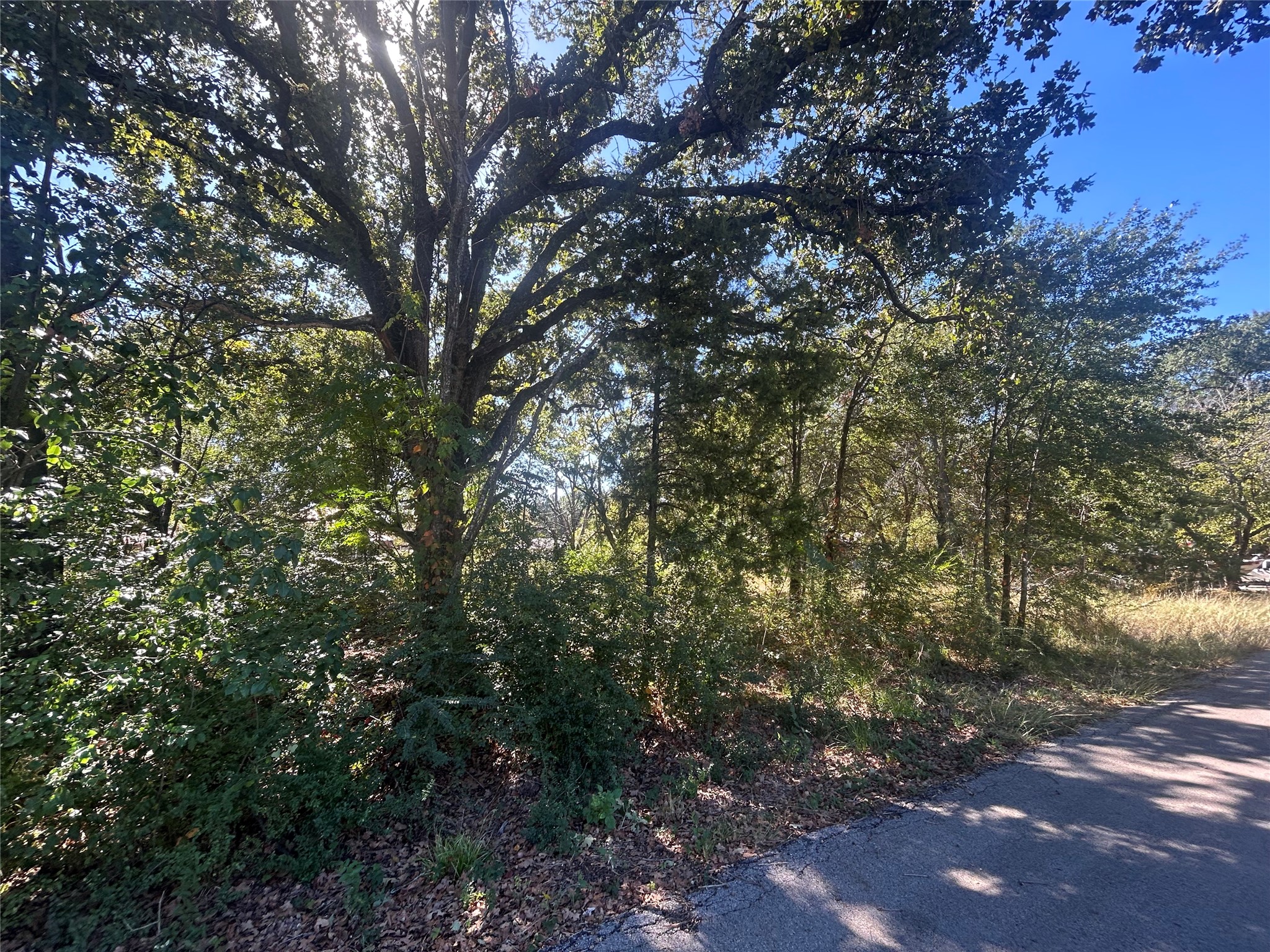 00 Bluebonnet Drive Gun Barrel City TX 75156