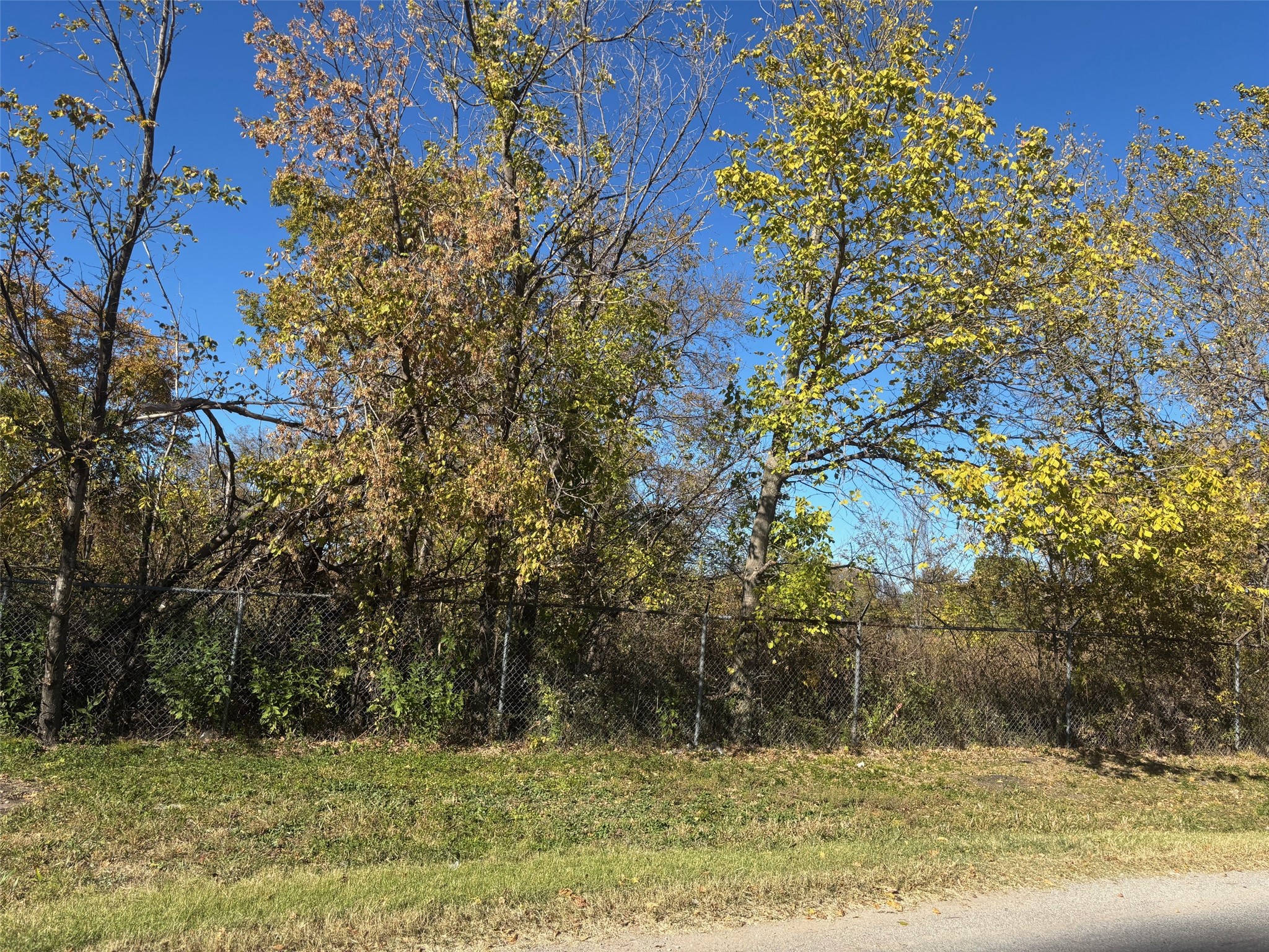 13.8 Acres / Tract 6 Winn Road Collinsville TX 76268