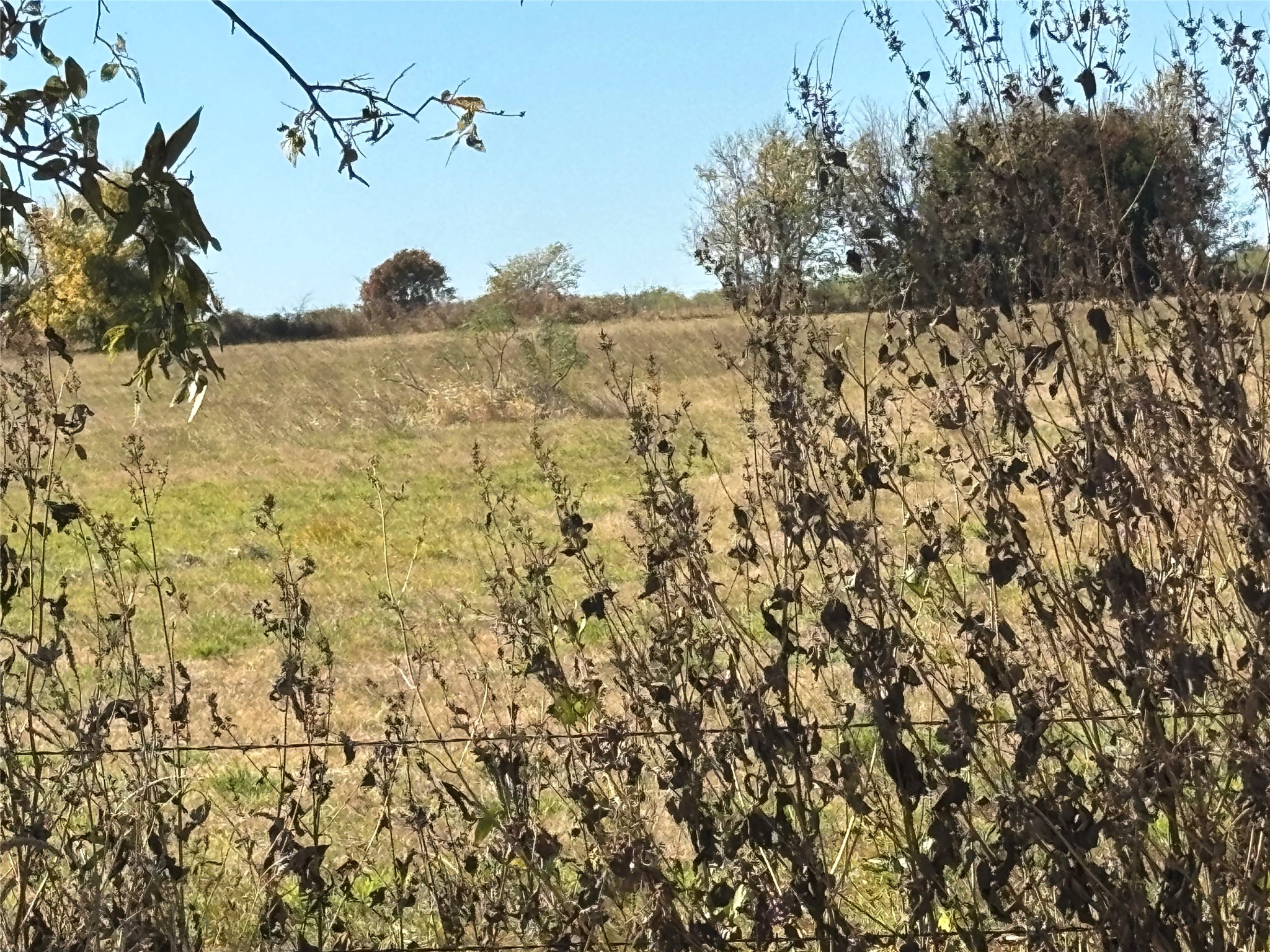 13.8 Acres / Tract 6 Winn Road Collinsville TX 76268