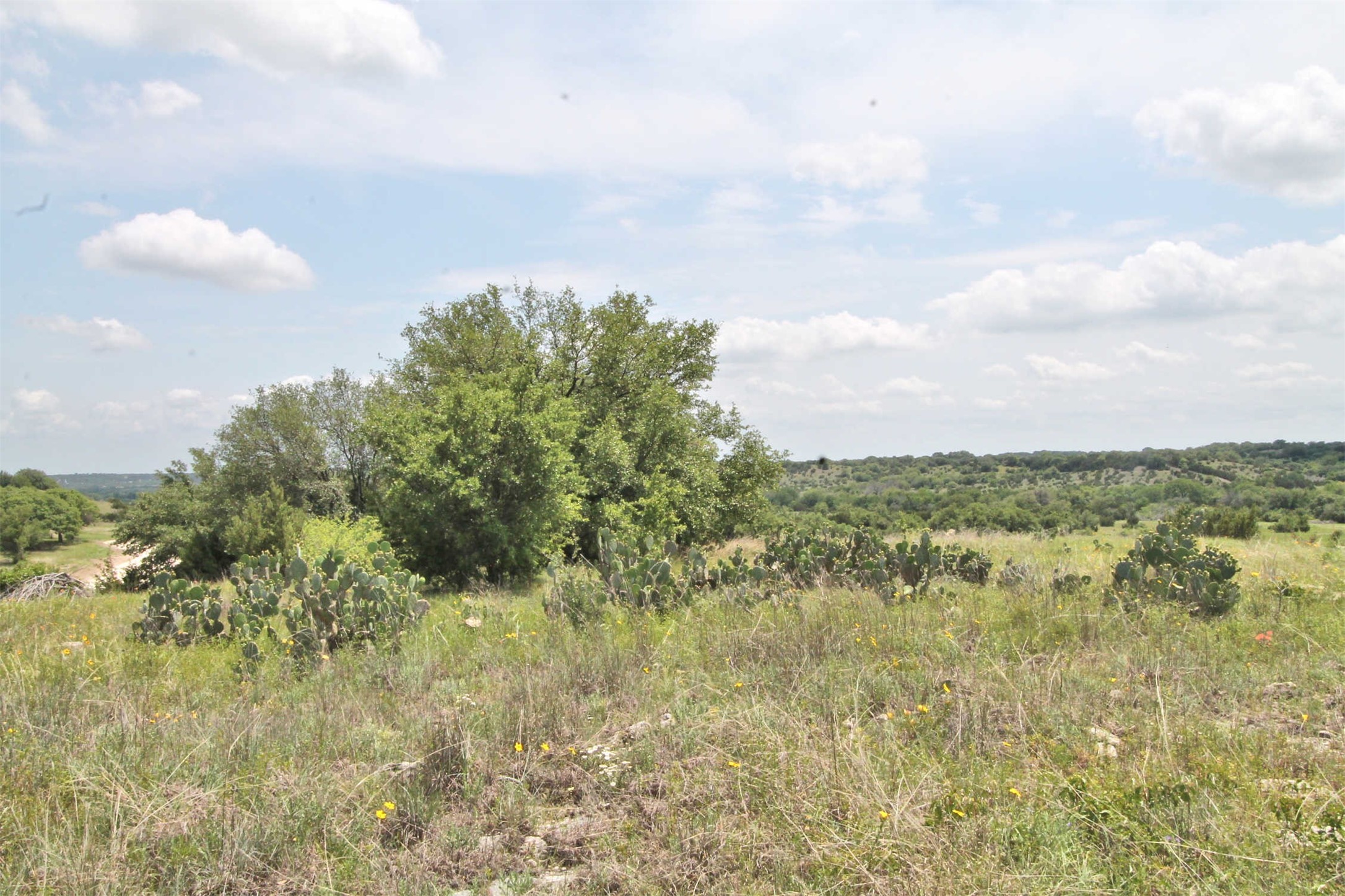 1102 Bluffview Court Glen Rose TX 76043