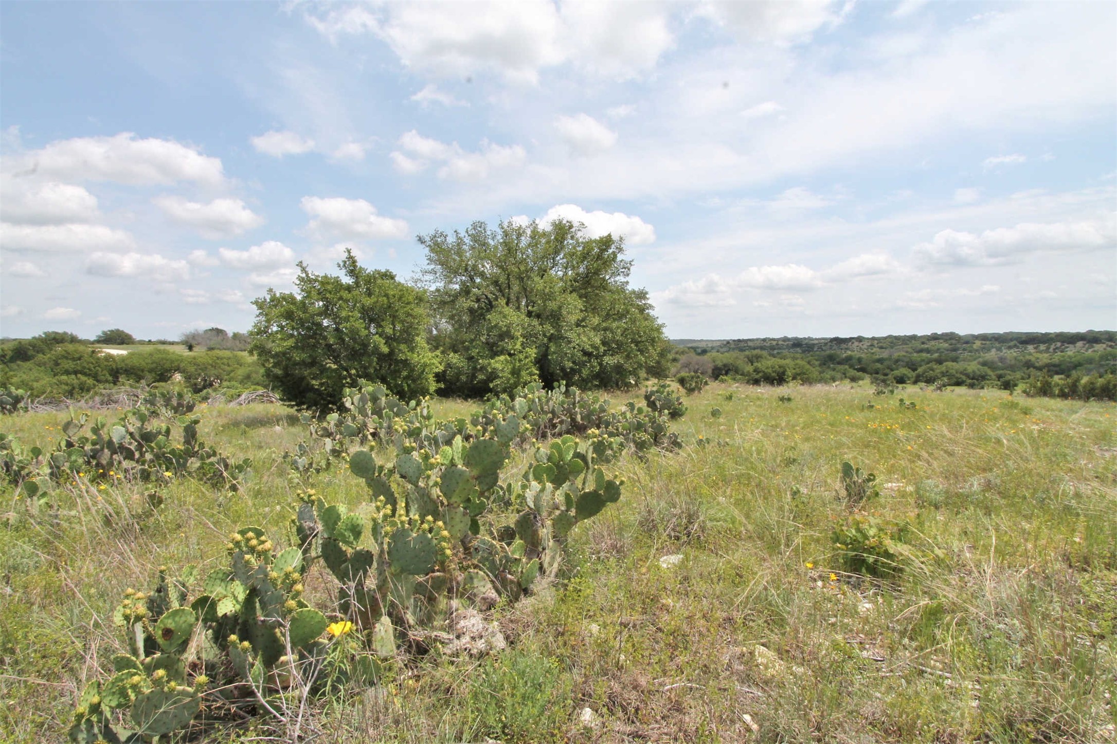 1102 Bluffview Court Glen Rose TX 76043