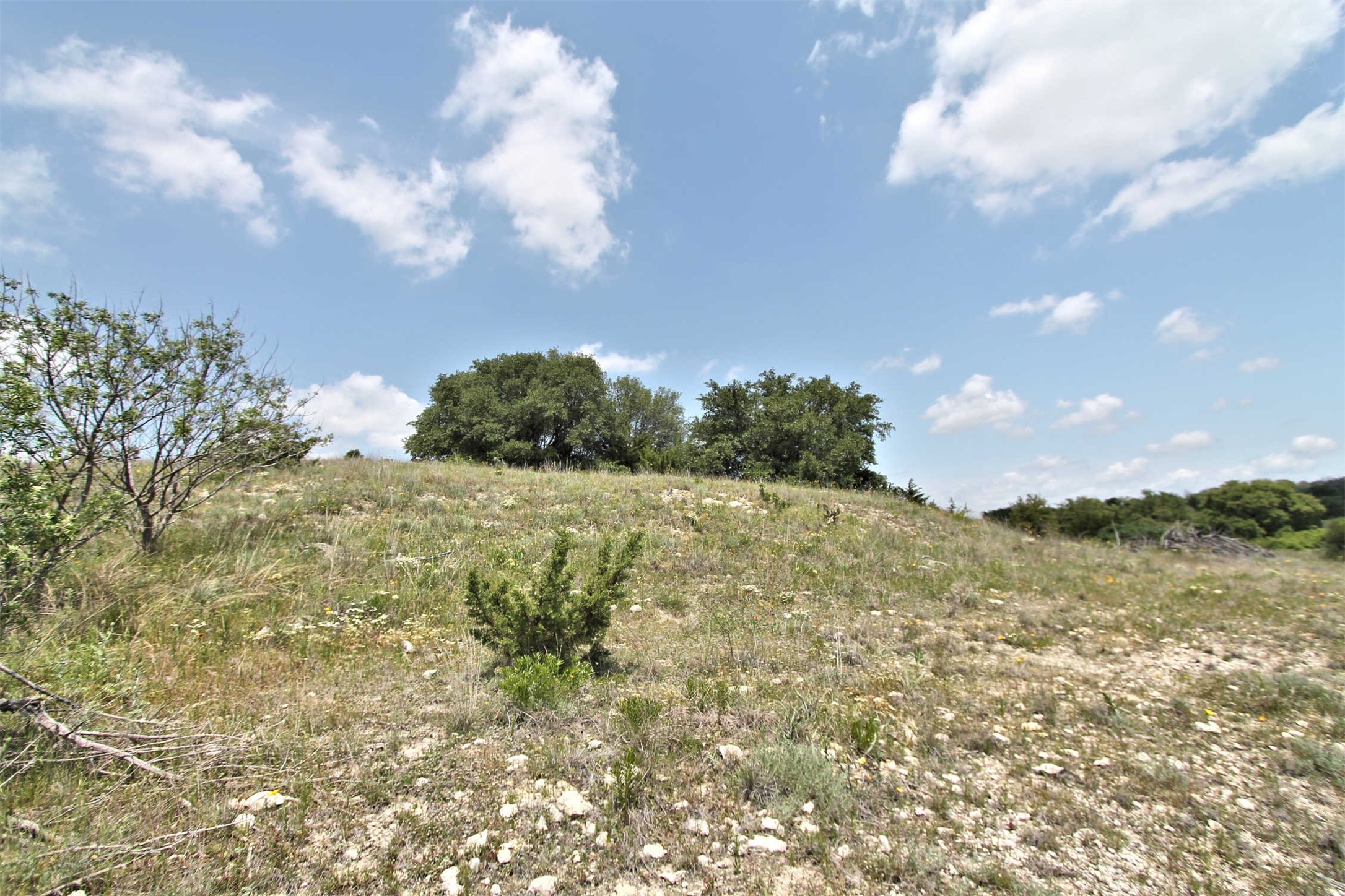 1102 Bluffview Court Glen Rose TX 76043