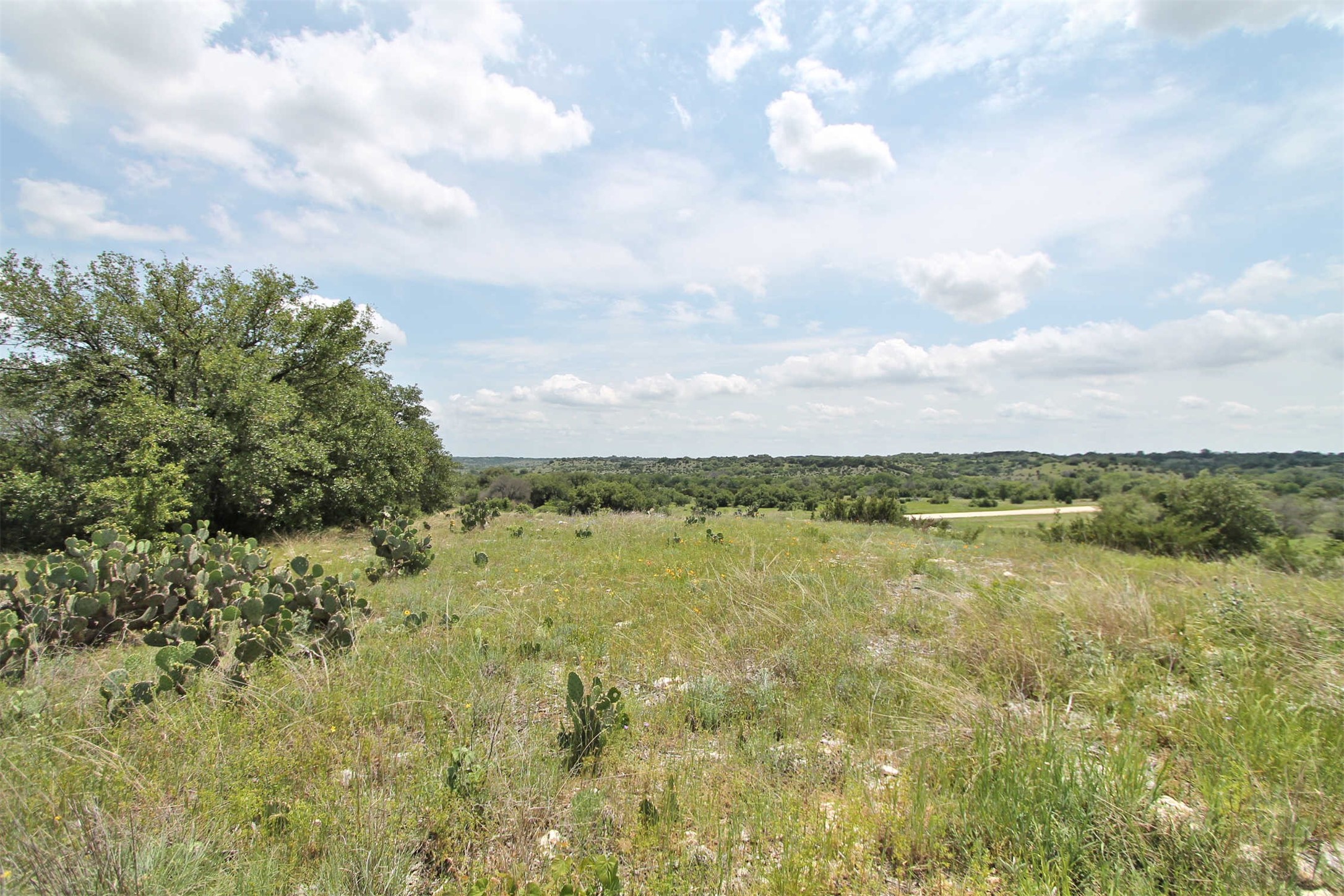1102 Bluffview Court Glen Rose TX 76043