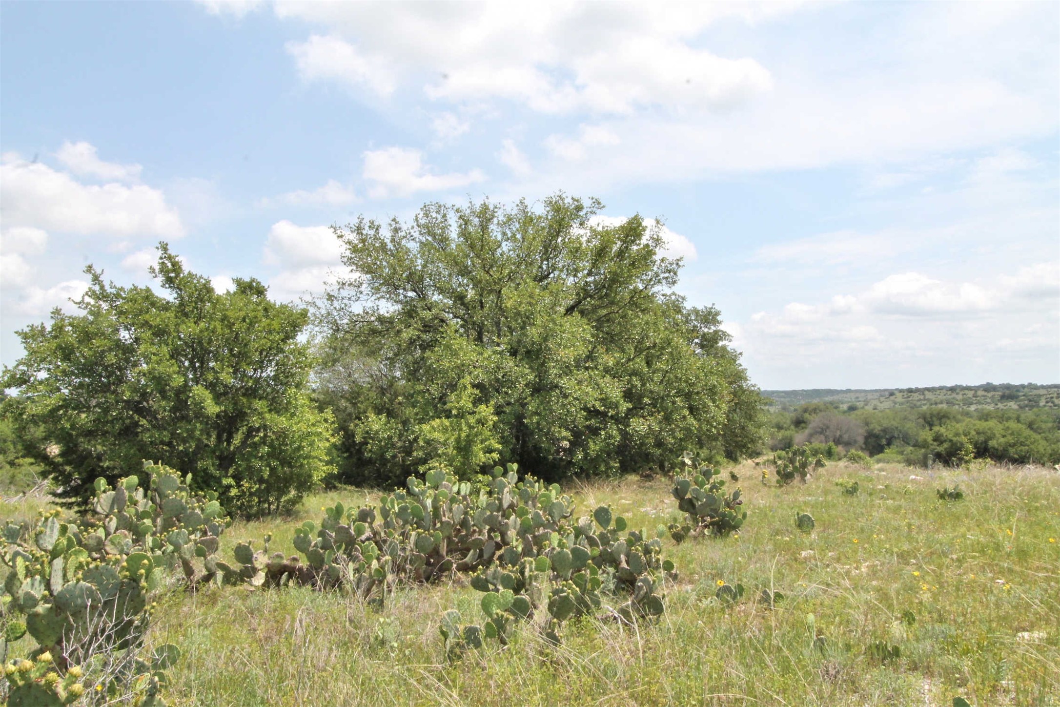 1102 Bluffview Court Glen Rose TX 76043