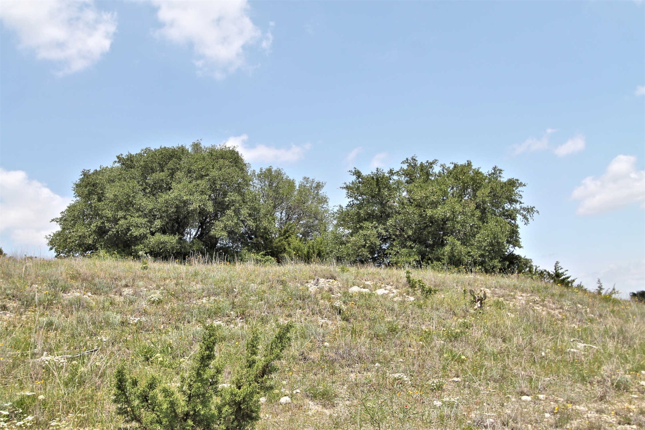 1102 Bluffview Court Glen Rose TX 76043