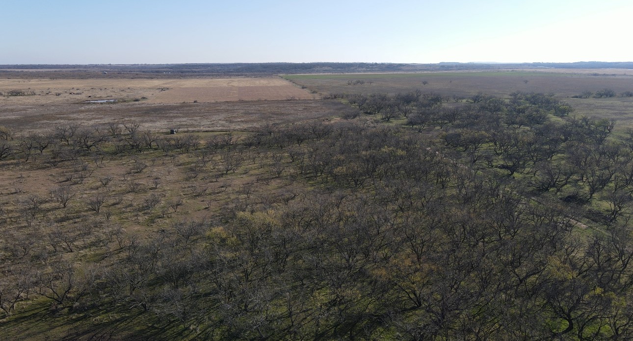 5160 Fm 2652 Loving TX 76460