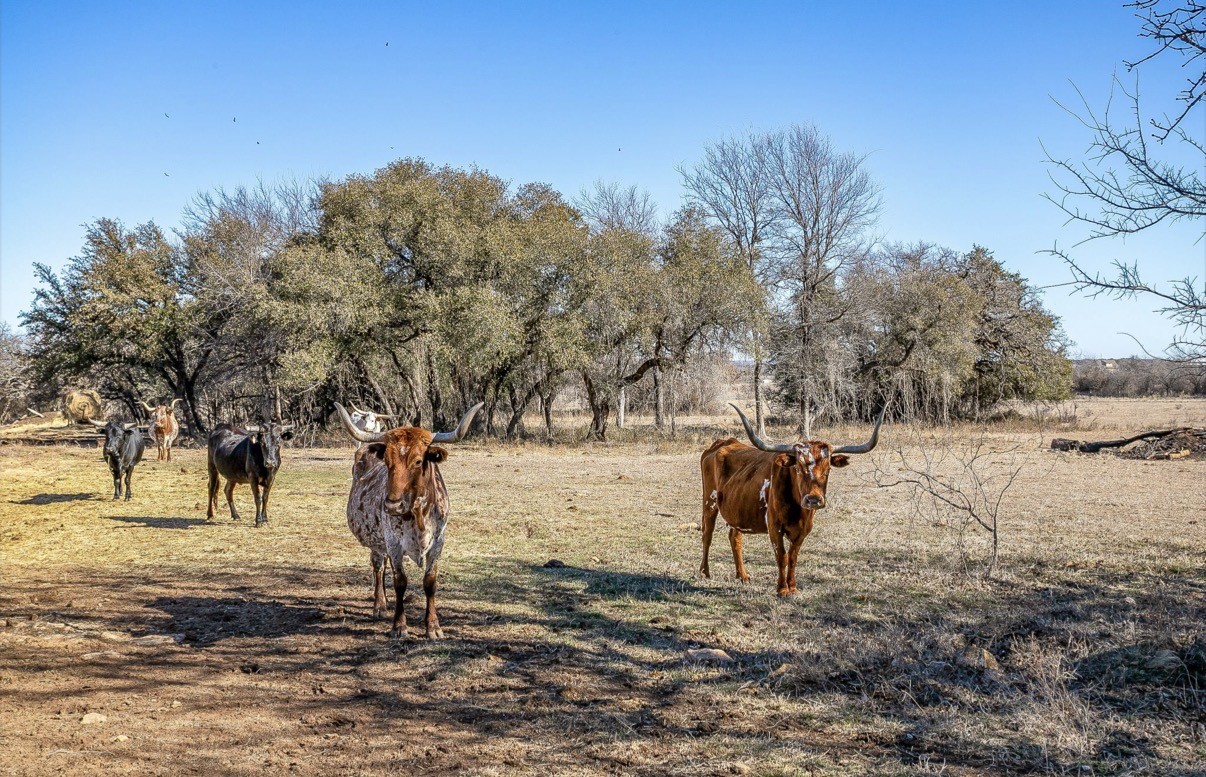 15 Acres Fm 2210 Bridgeport TX 76426