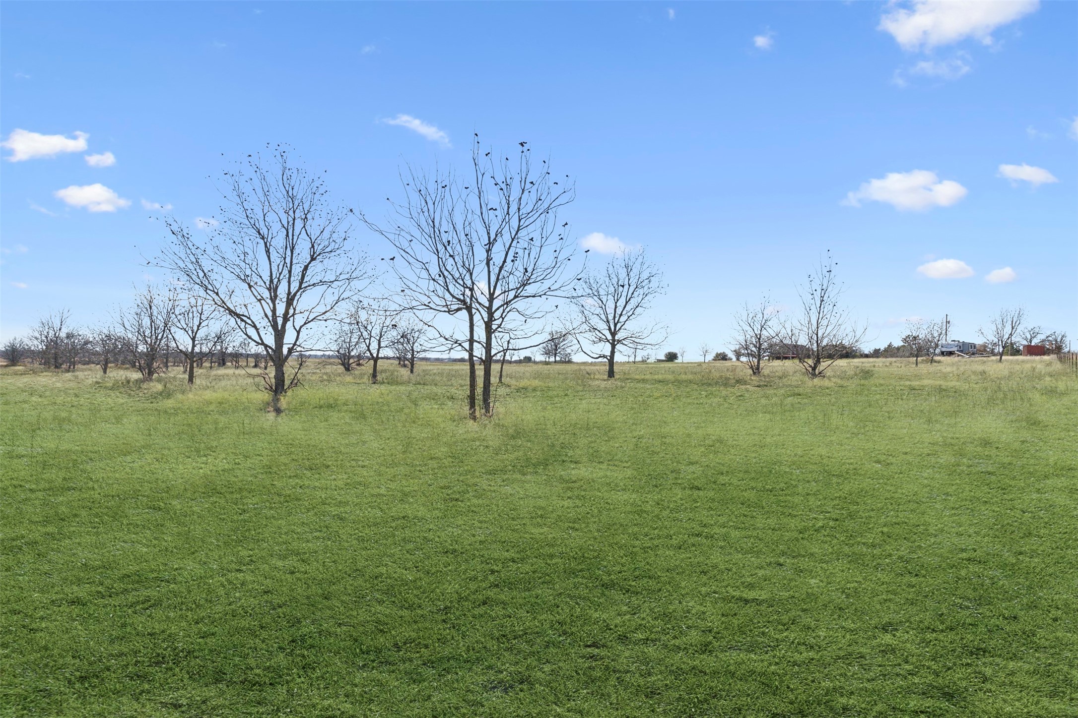719 County Road 389 Gorman TX 76454