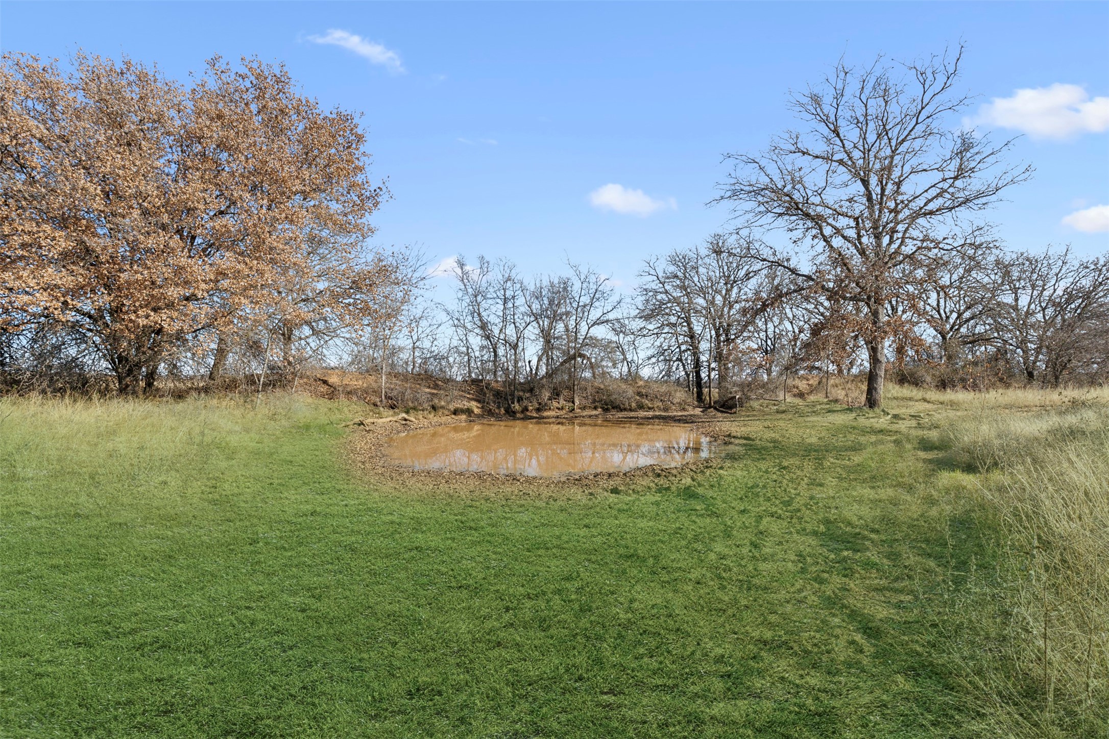 719 County Road 389 Gorman TX 76454