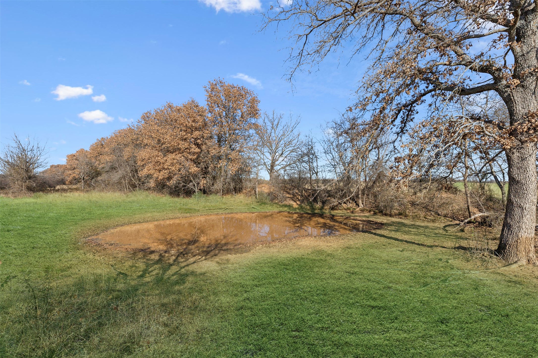 719 County Road 389 Gorman TX 76454