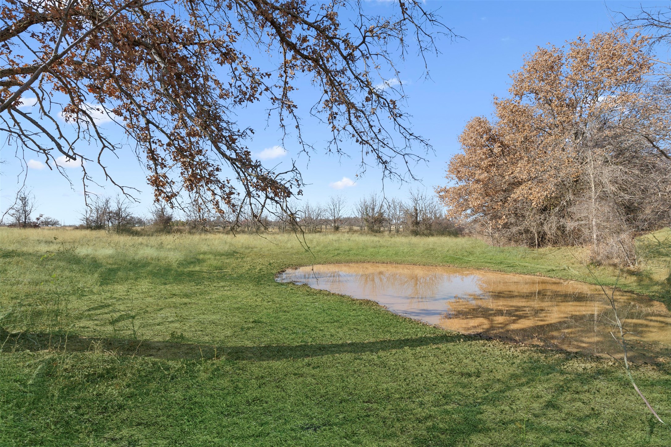719 County Road 389 Gorman TX 76454