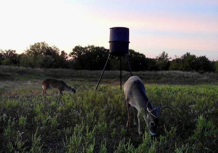 1800 County Road 479 Gorman TX 76454