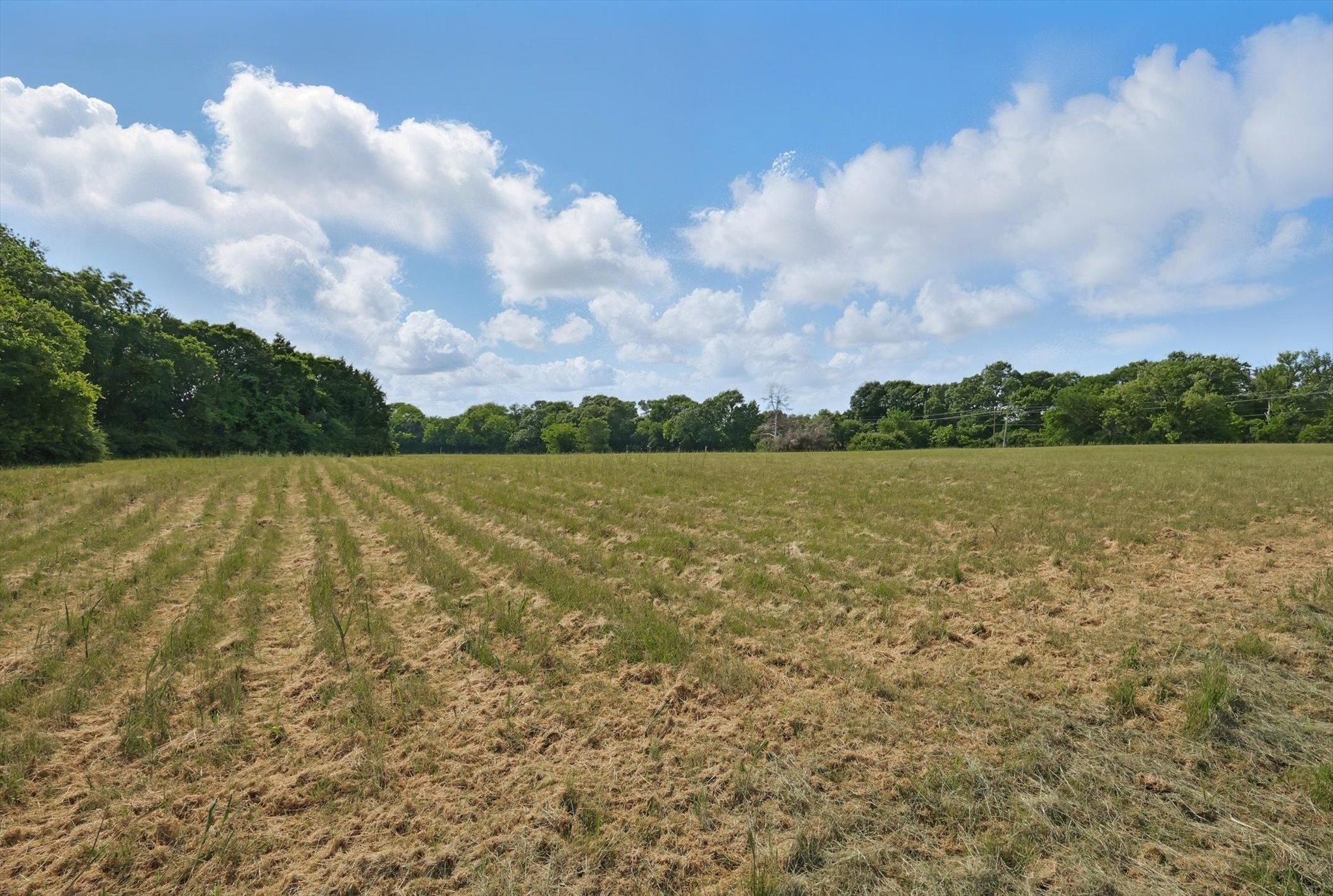 699 W Wintergreen Road Desoto TX 75115