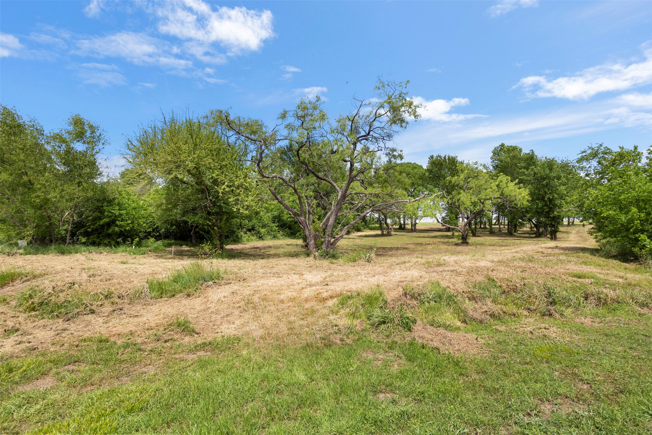 8471 Southern Shore Court Kemp TX 75143