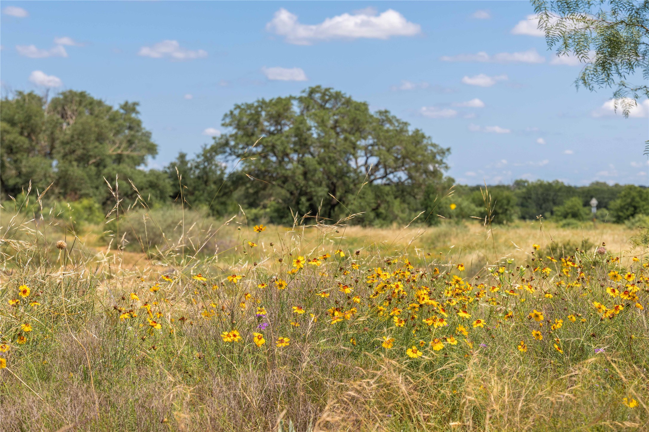 8380 Fm 585 Brownwood TX 76801
