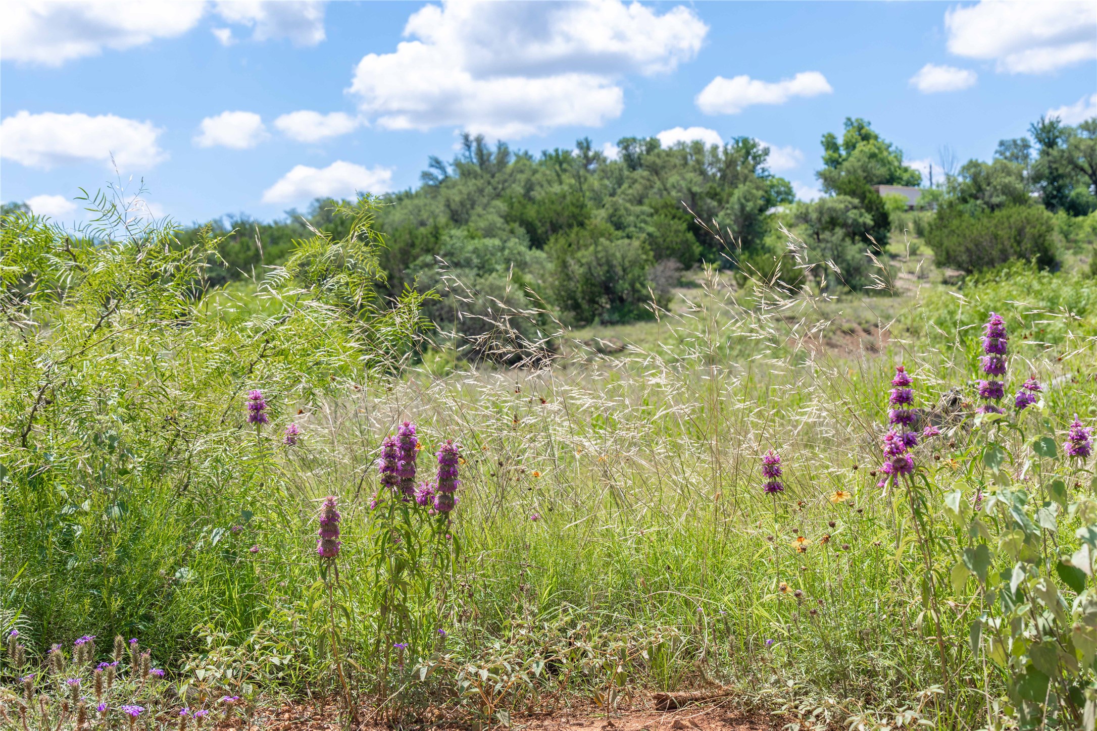 8380 Fm 585 Brownwood TX 76801