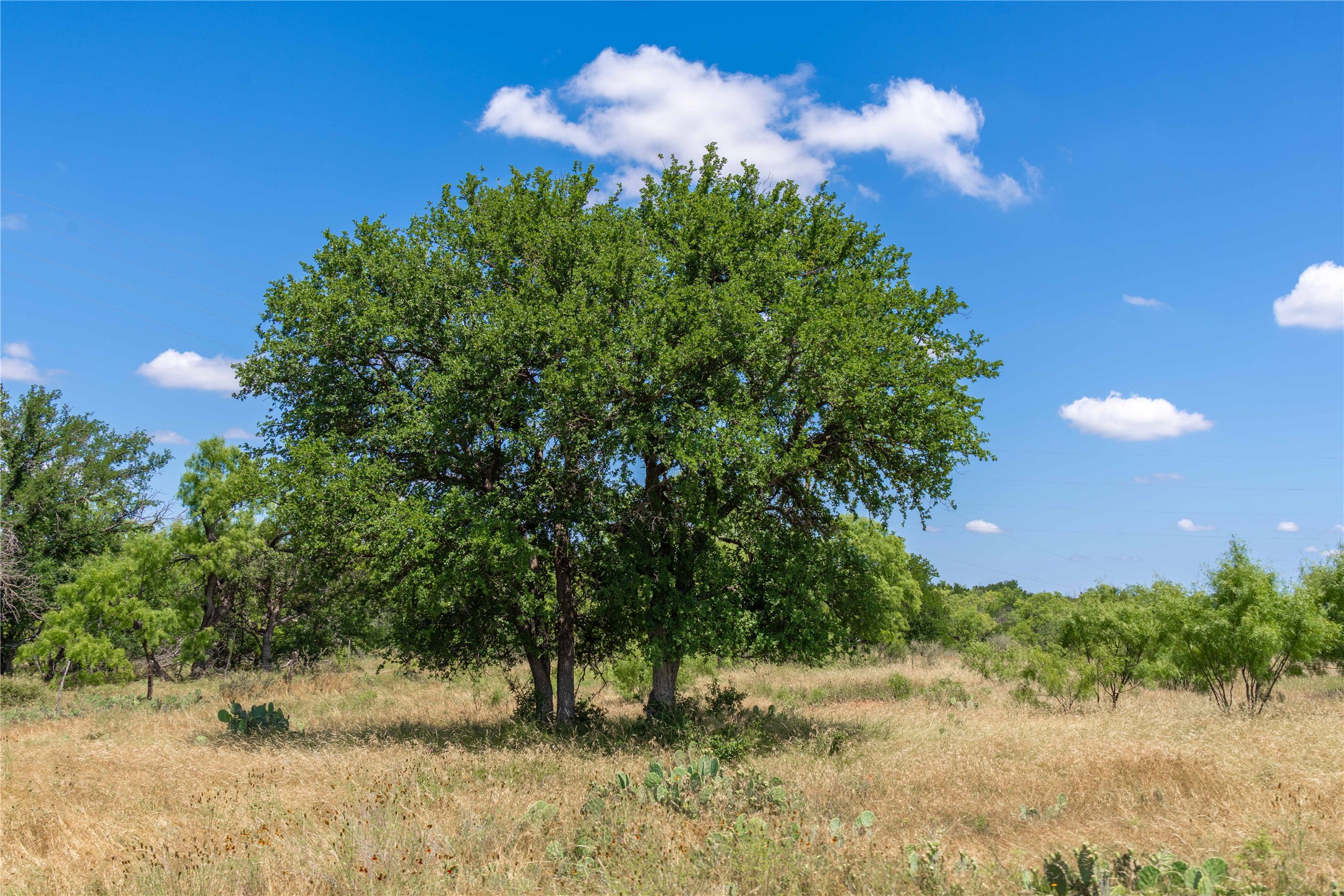 8380 Fm 585 Brownwood TX 76801