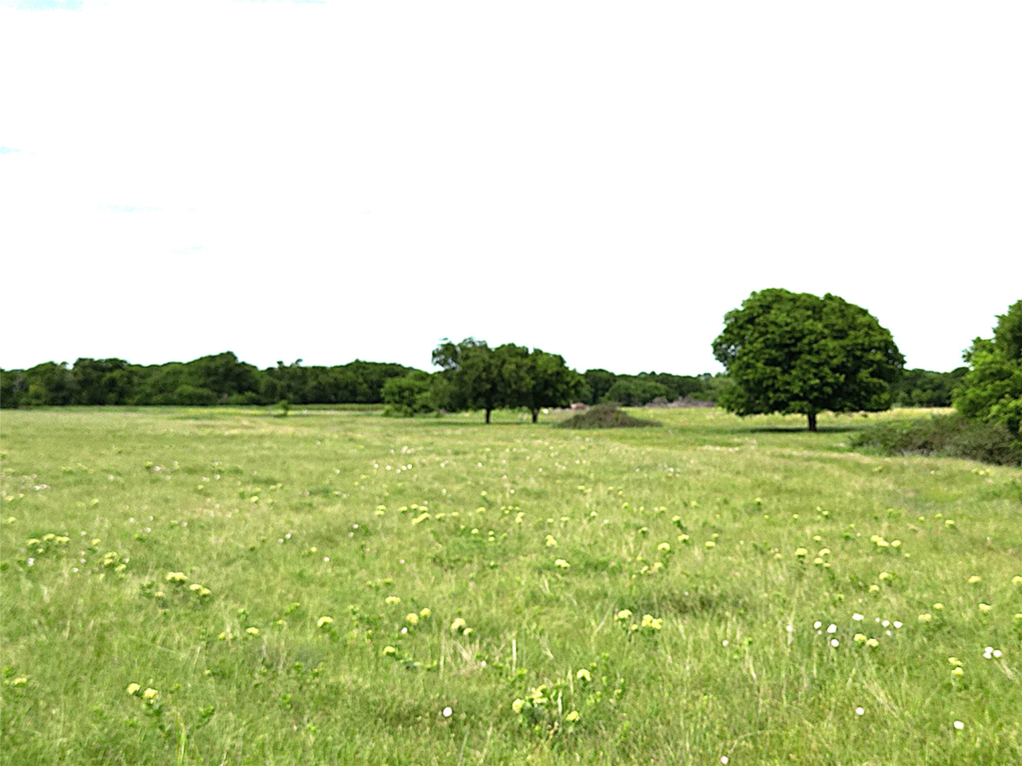 0000 Pruett Road Krum TX 76249