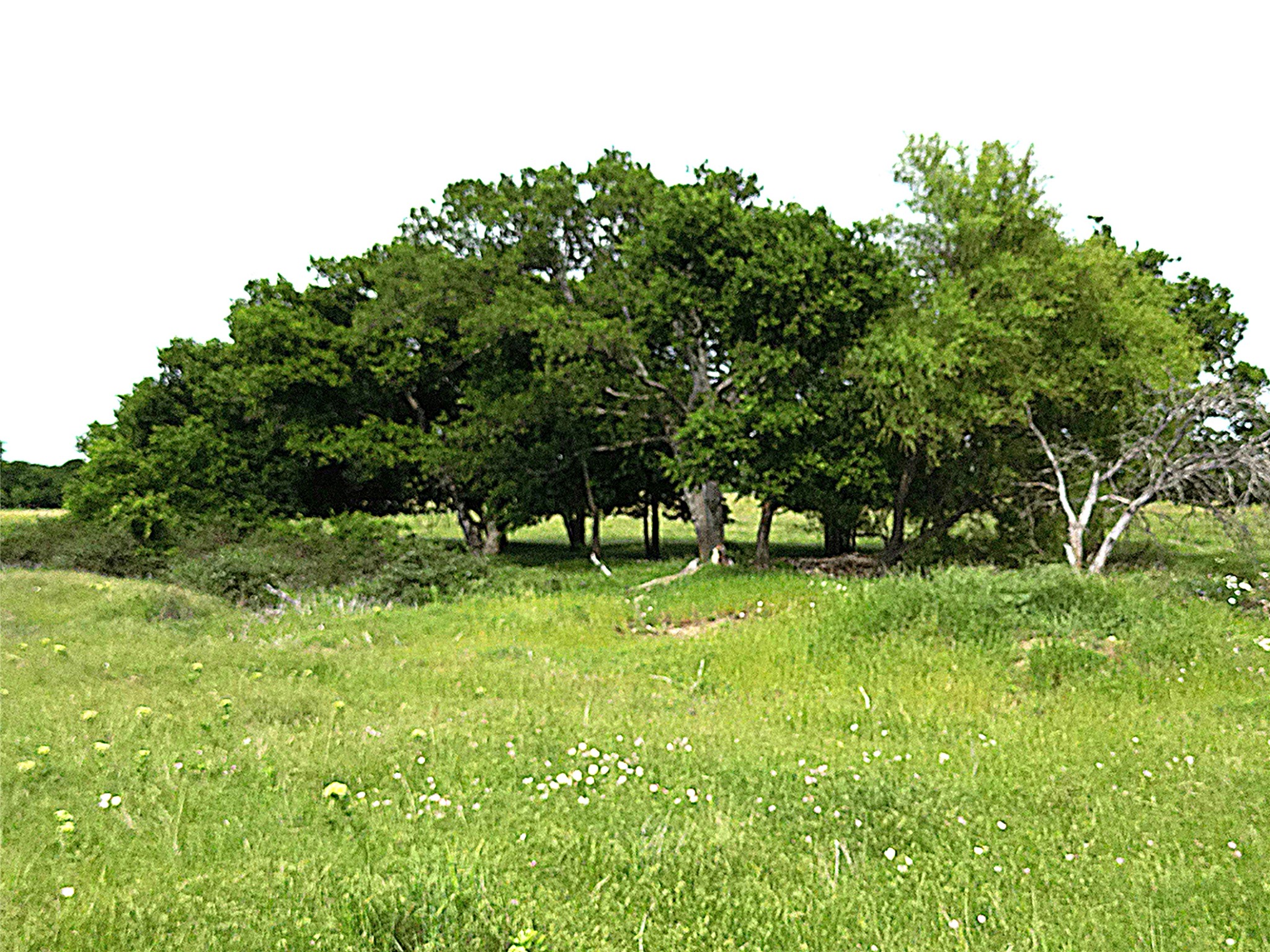 0000 Pruett Road Krum TX 76249