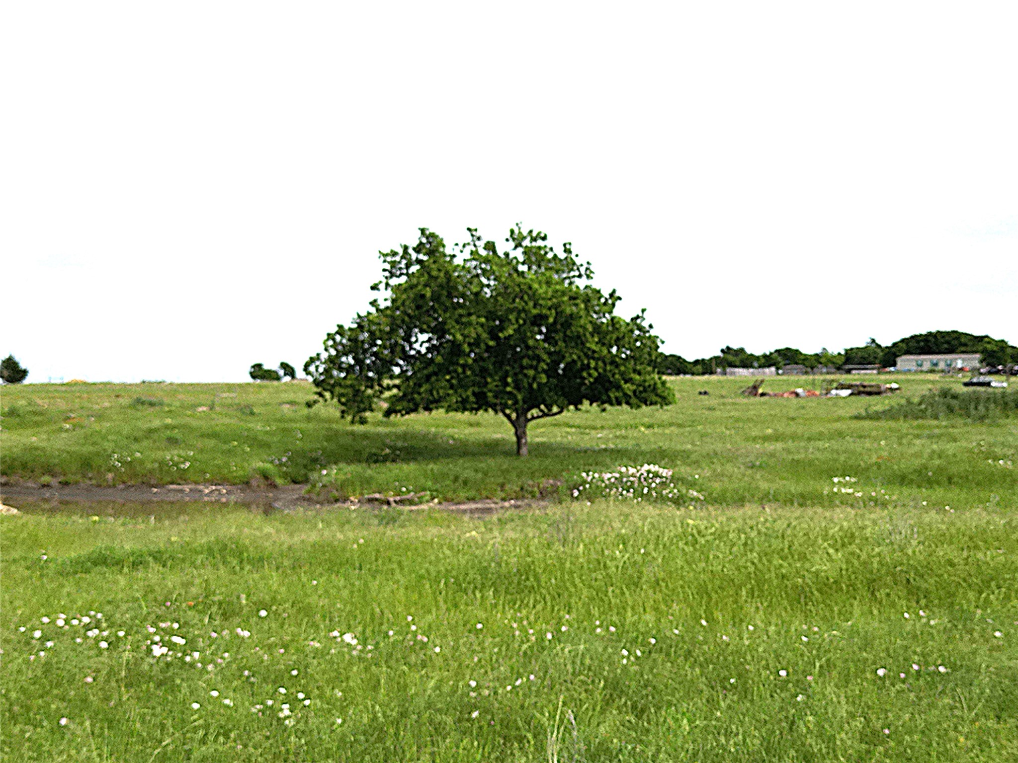 0000 Pruett Road Krum TX 76249