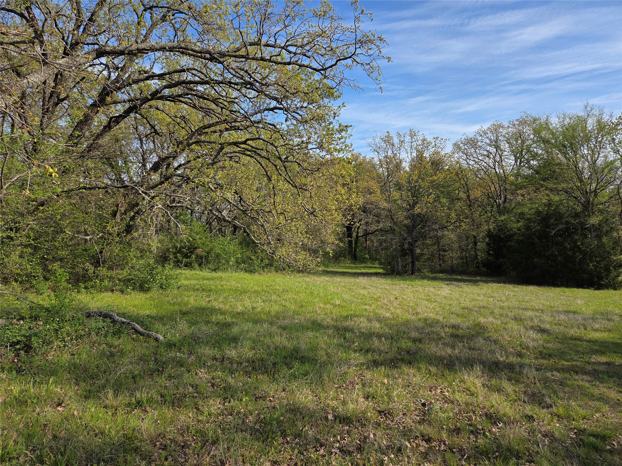 Lot 97 Tonkawa Trail Corsicana TX 75109