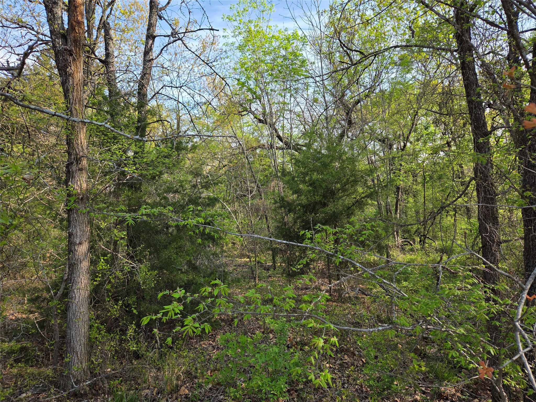 Lot 97 Tonkawa Trail Corsicana TX 75109
