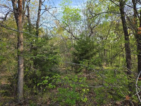 Lot 97 Tonkawa Trail Corsicana TX 75109