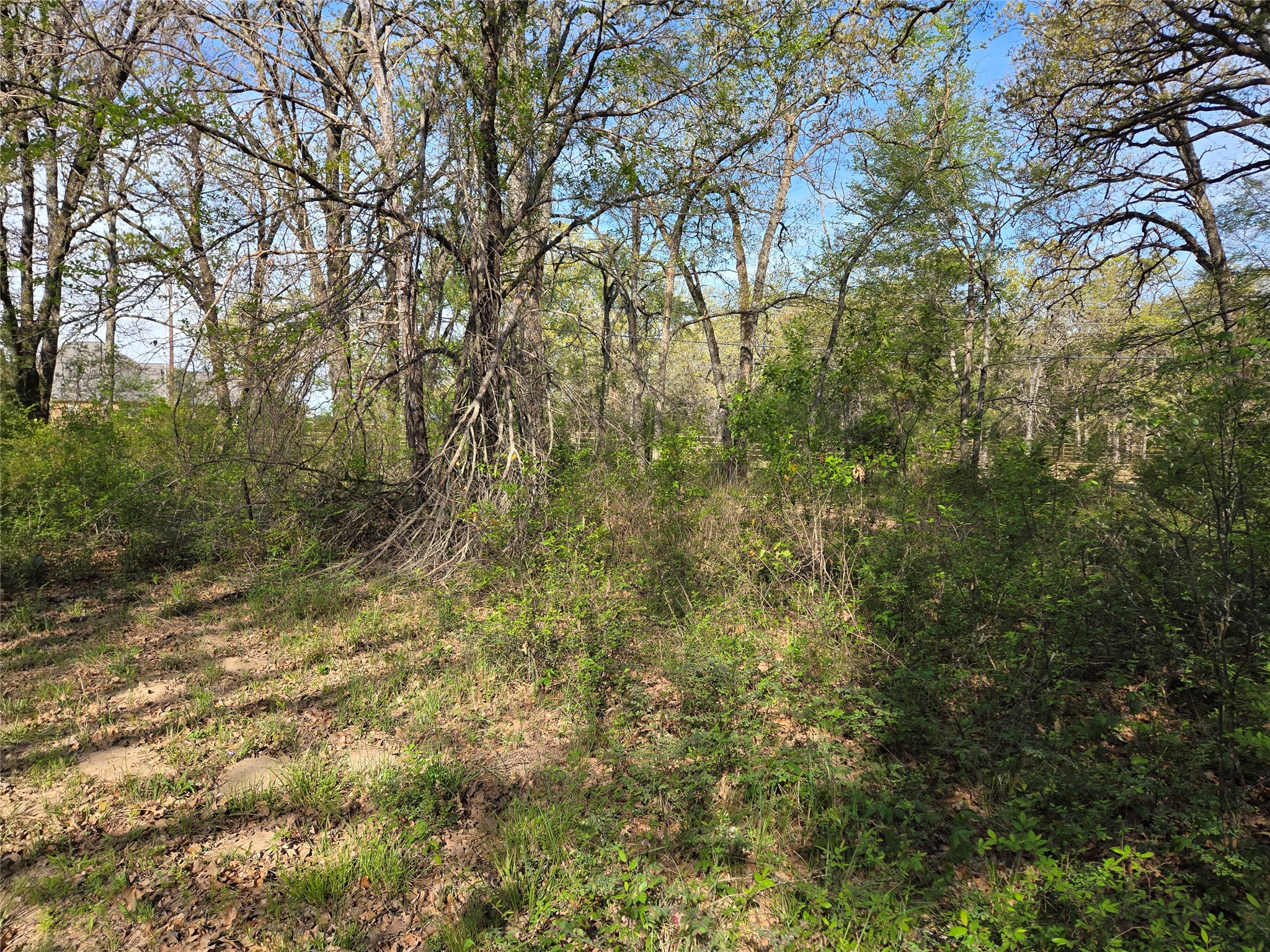 Lot 97 Tonkawa Trail Corsicana TX 75109