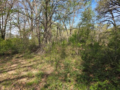 Lot 97 Tonkawa Trail Corsicana TX 75109