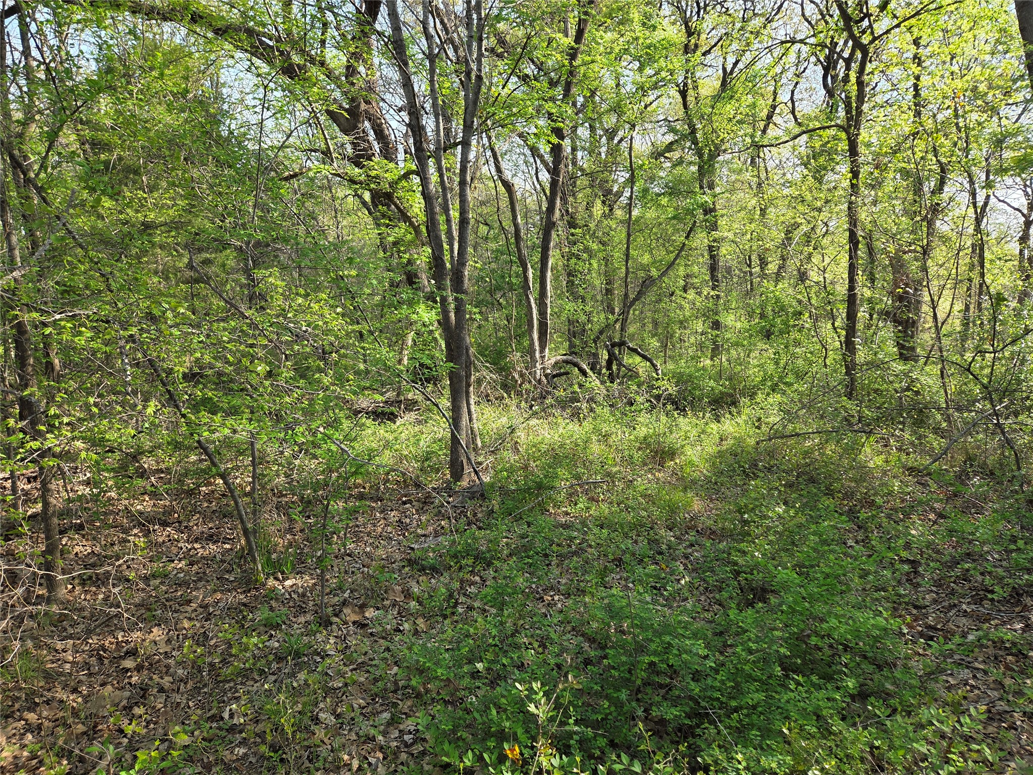 Lot 97 Tonkawa Trail Corsicana TX 75109