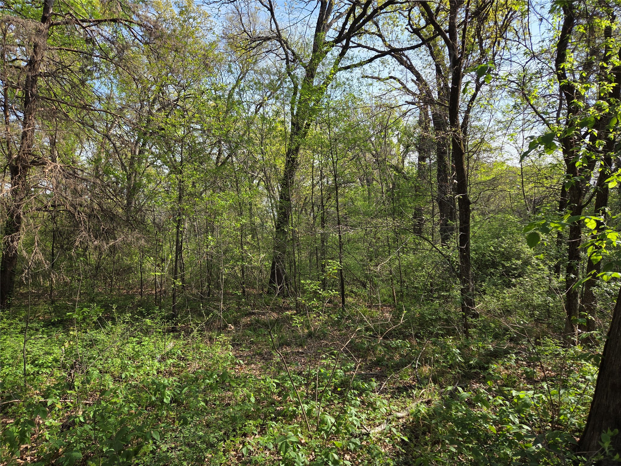 Lot 97 Tonkawa Trail Corsicana TX 75109