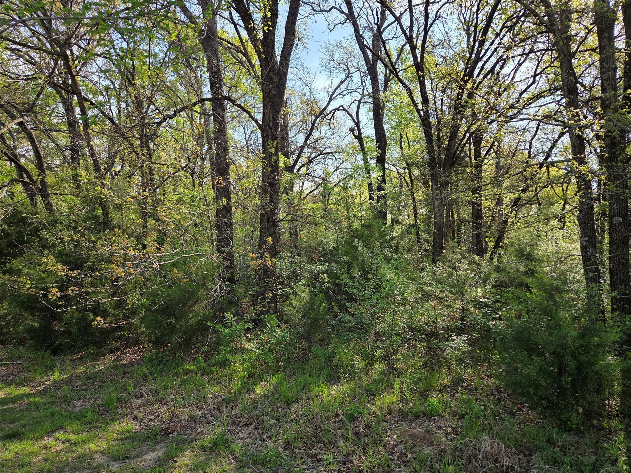Lot 97 Tonkawa Trail Corsicana TX 75109