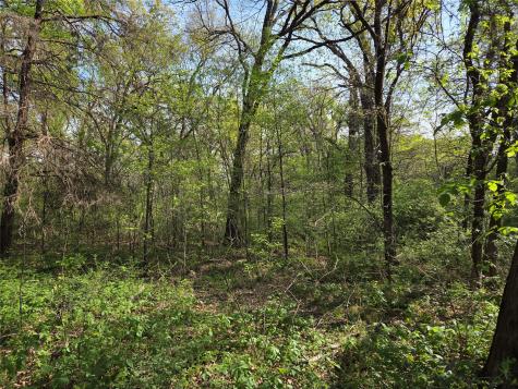 Lot 97 Tonkawa Trail Corsicana TX 75109