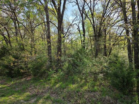 Lot 97 Tonkawa Trail Corsicana TX 75109