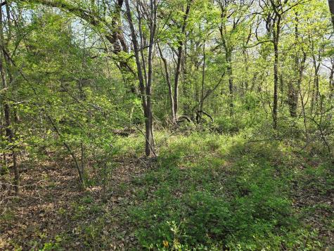 Lot 97 Tonkawa Trail Corsicana TX 75109