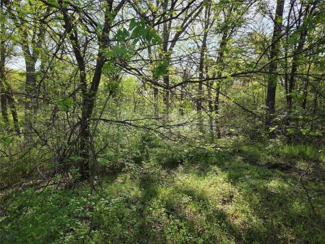 Lot 97 Tonkawa Trail Corsicana TX 75109