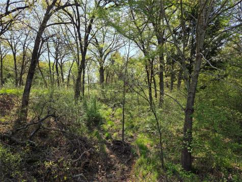 Lot 97 Tonkawa Trail Corsicana TX 75109