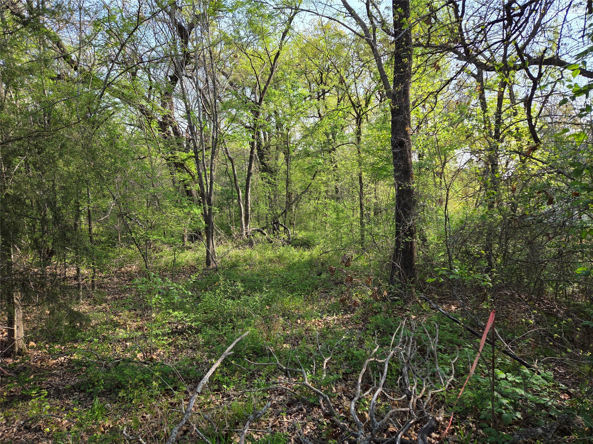 Lot 97 Tonkawa Trail Corsicana TX 75109